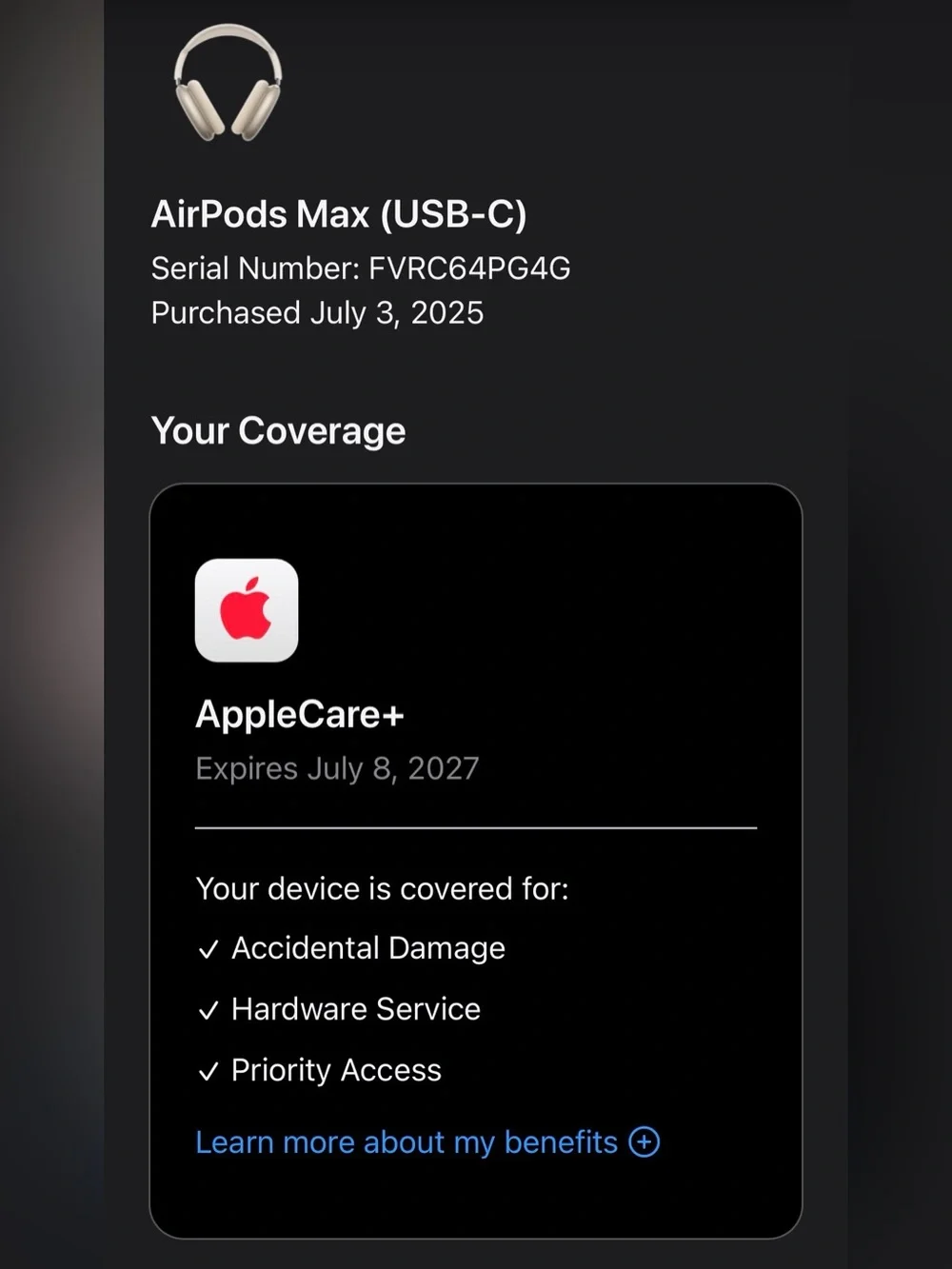 Midnight Airpod Maxes (Usb-C)